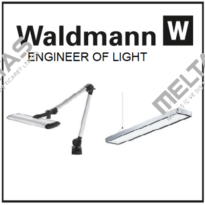 Waldmann