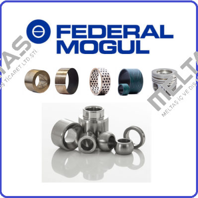 Federal Mogul