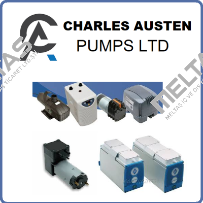 Charles Austen Pumps