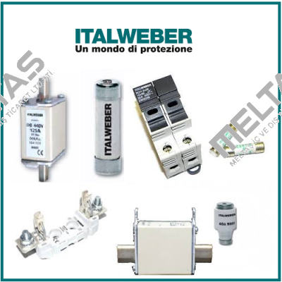 0102002 (pack x10) Italweber