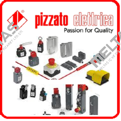 FL601-2M2  Pizzato Elettrica