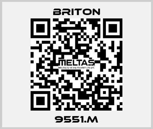 9551.M BRITON