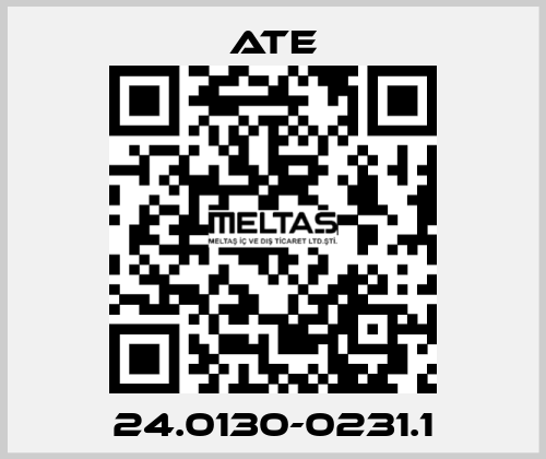 24.0130-0231.1 Ate