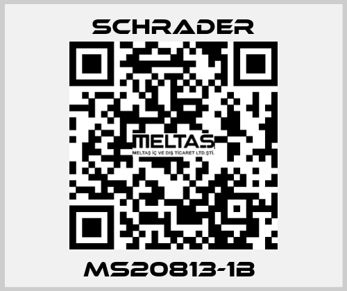 MS20813-1B  Schrader