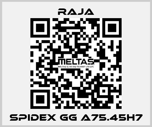 SPIDEX GG A75.45H7 Raja