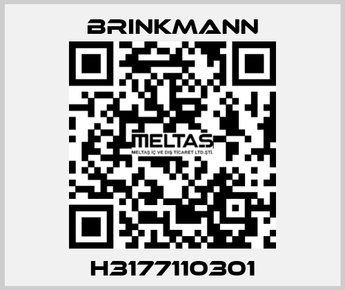 H3177110301 Brinkmann