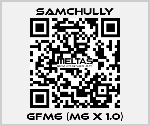 GFM6 (M6 x 1.0) Samchully