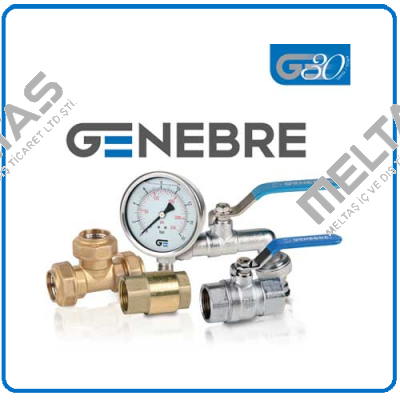 Spring for  Genebre valve  GN-15 S3 F04  Genebre