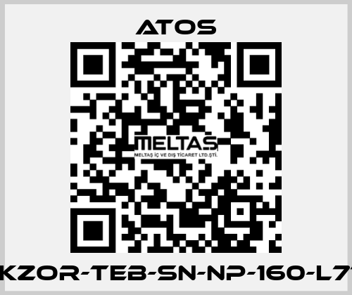 DLKZOR-TEB-SN-NP-160-L71/Q Atos