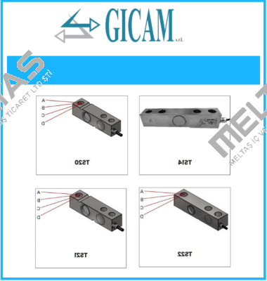 S/N: 2021/0019 Gicam