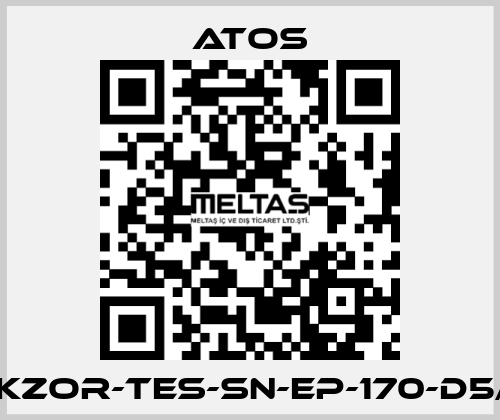 DKZOR-TES-SN-EP-170-D5/F Atos