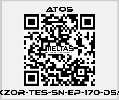 DKZOR-TES-SN-EP-170-D5/FI Atos