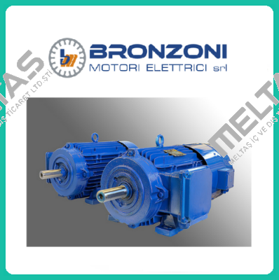 Q1053B1100 Bronzoni