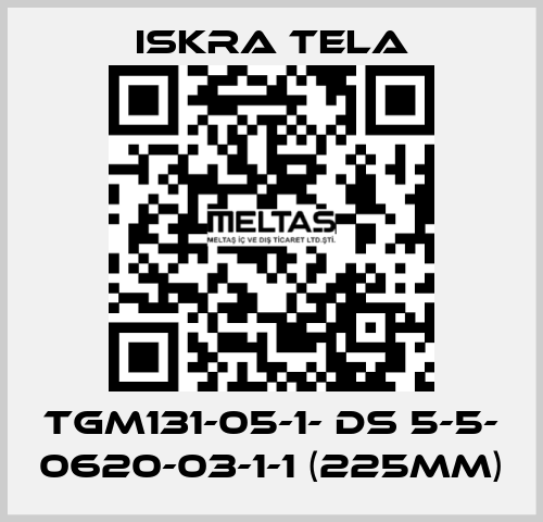 TGM131-05-1- DS 5-5- 0620-03-1-1 (225mm) ISKRA TELA