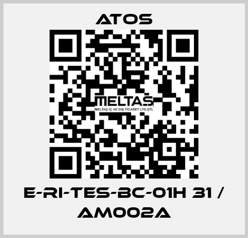 E-RI-TES-BC-01H 31 / AM002A Atos