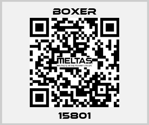 15801 Boxer