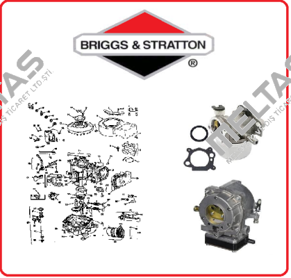 ENGINE PACKED SINGLE CARTON Briggs-Stratton