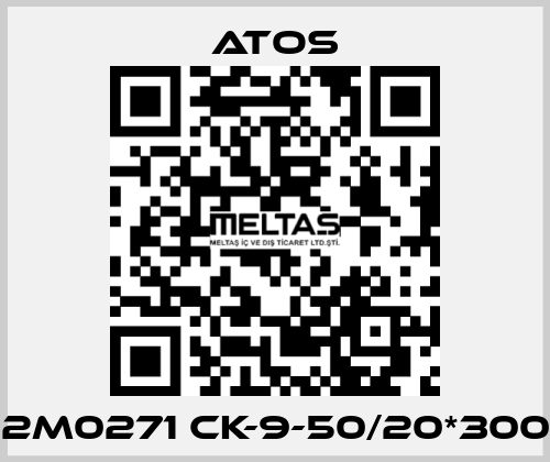 12M0271 CK-9-50/20*300  Atos