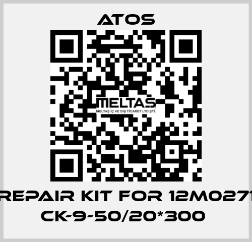 REPAIR KIT FOR 12M0271 CK-9-50/20*300  Atos