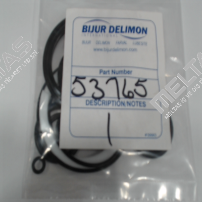 53765 Bijur Delimon