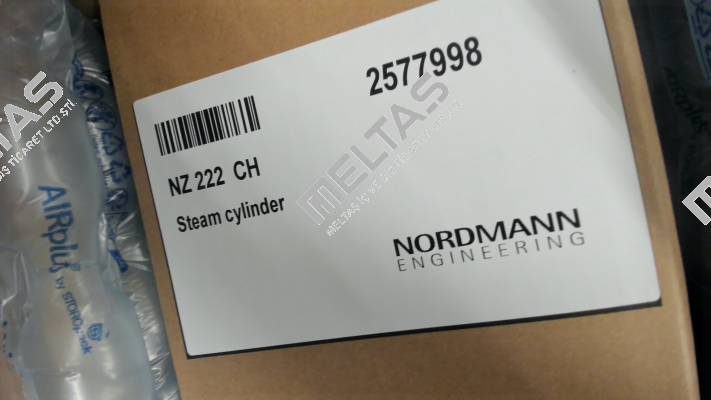 6391509 NORDMANN ENGINEERING