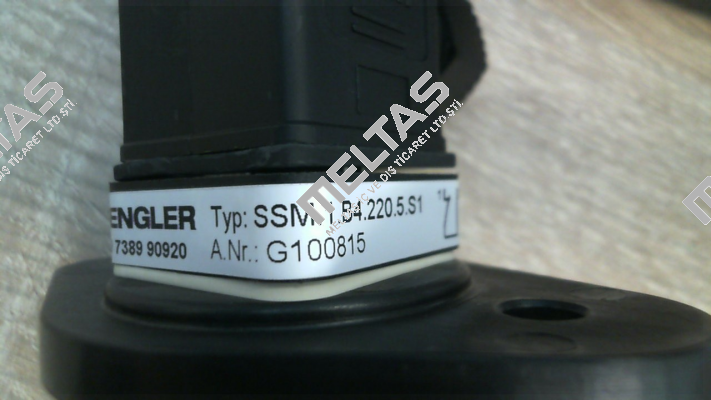 SSM.1.B4.220.5.S1 Engler