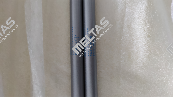 0542TR / 0175N 206/05 G 13 Stabilus