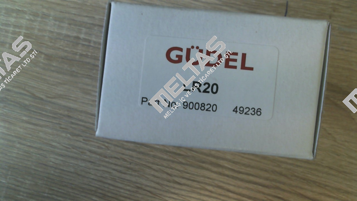 900820 Güdel