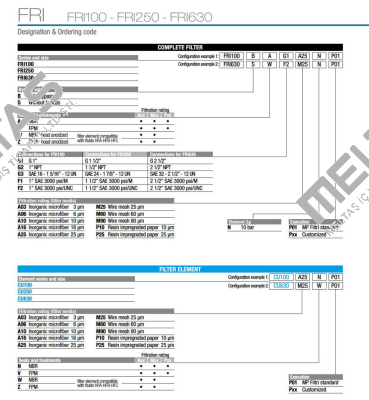 FRI-100-B-A-G1-A25-N-P01 MP Filtri